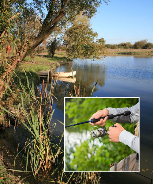 Private Fishing Lake - 37 Club Puriton